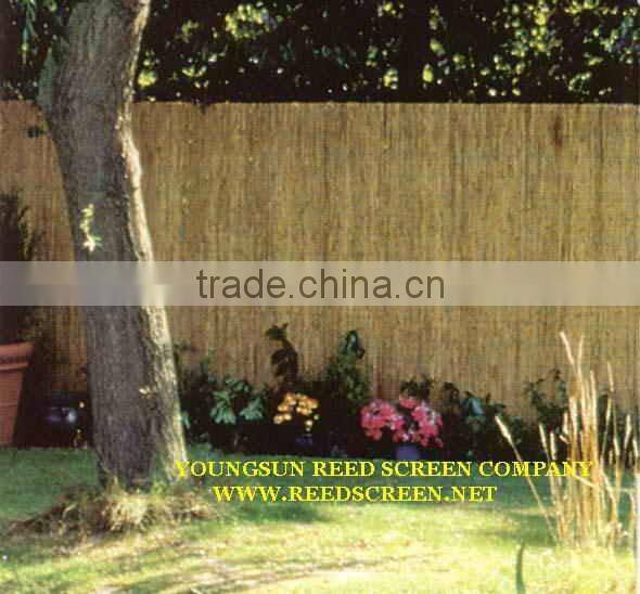 reed fence