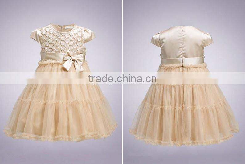 girl Princess dress party dress