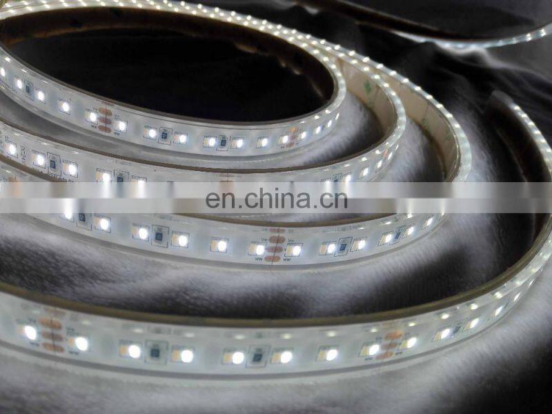 Underwater led strip light ip68 tow color led 3014 224leds CCT temperature color change tape