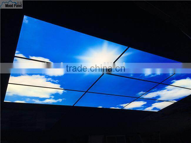 Japanese style sakura sky ceiling panel light