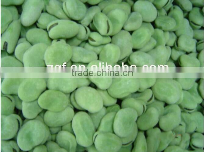 IQF frozen green broad beans