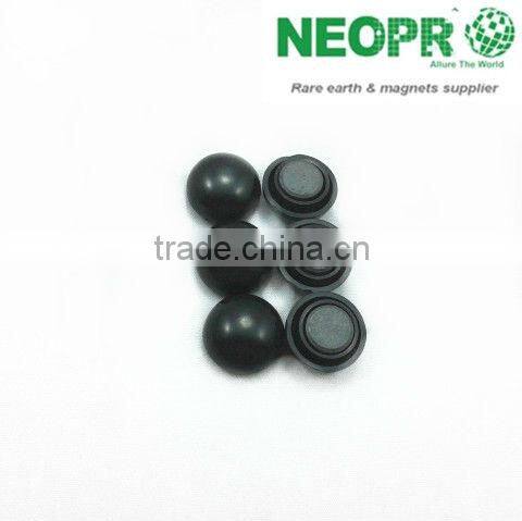 Neopro educational magnet