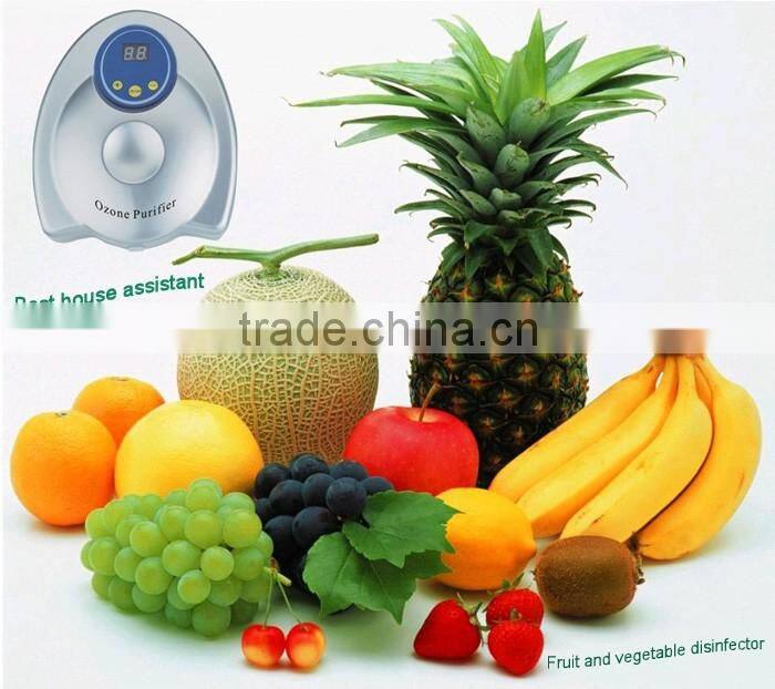 household small ozone generator water purifier ozonator for vegetables and fruits washing with LCD display