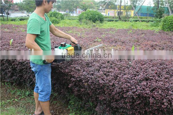 two person operated tea-leaf picker tea plucking machine