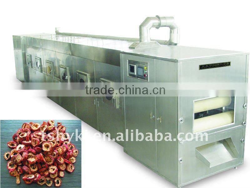 Industrial tunnel microwave seeds/nut roasting machine