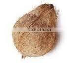 Coconut production in pollachi for Exports