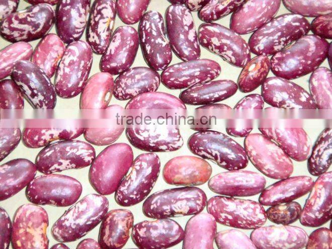 NEW CROP LIGHT SPECKLED KIDNEY BEANS