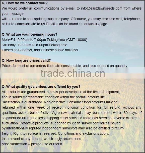 High Quality Wholesale Shine Skin Pumpkin Seeds