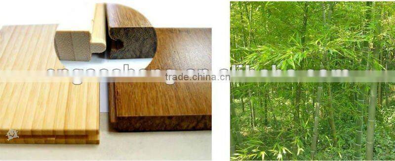 indoor elegant bamboo flooring for home office hospital hotel