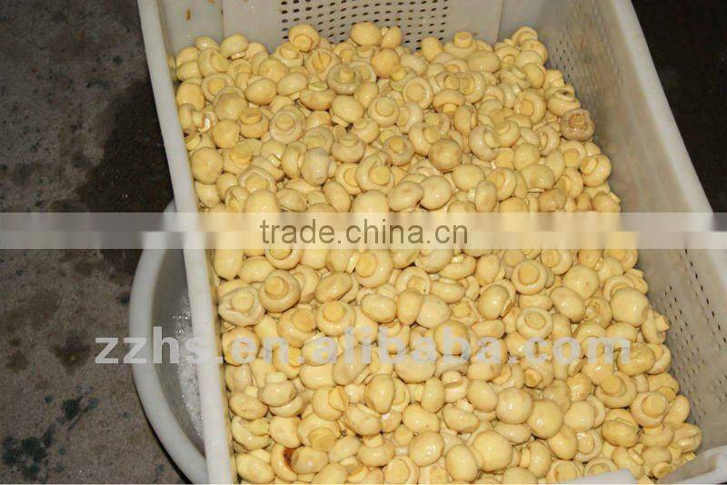 Whole mushroom in Chemical