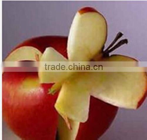 100% Natural Fresh Apple Polyphenols / Apple Polyphenols Powder / Fresh Apple Powder