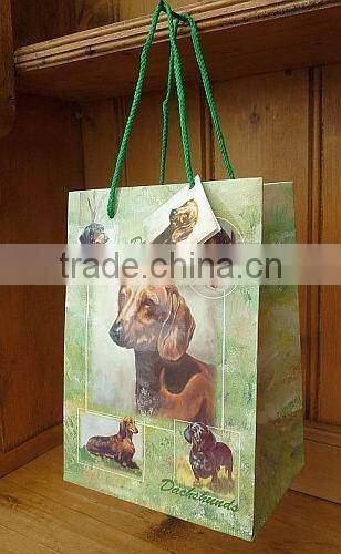custom printed gift shopping paper bag