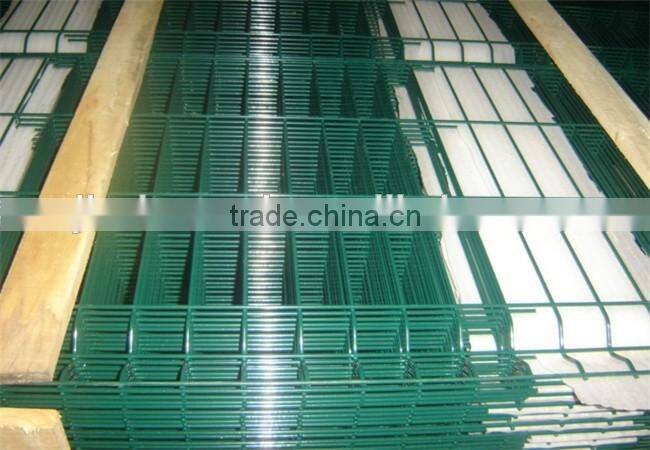 China professional cheap aviary welded mesh panel/20guage steel wire mesh panel