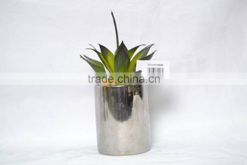 Artificial succulent grass for home decoration