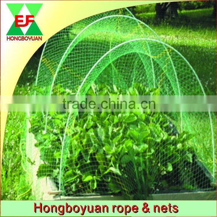 HDPE/Polyethylene Anti bird/insect net/agriculture net