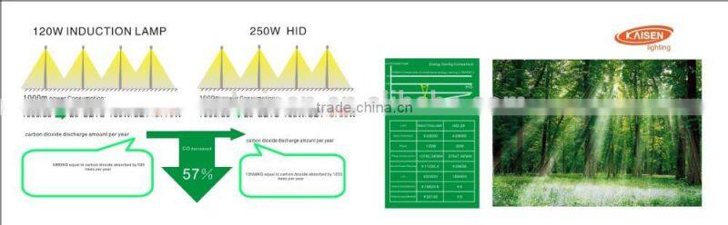 300W China style LVD energy saving induction circular tube with ballast