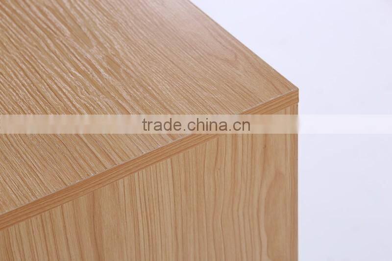 Melamine 2 Doors Shoe Cabinet Hot Selling