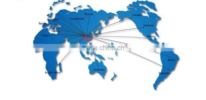 Hand Plate Compactor C100