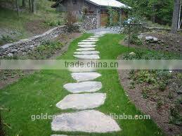 Step &Paving stone