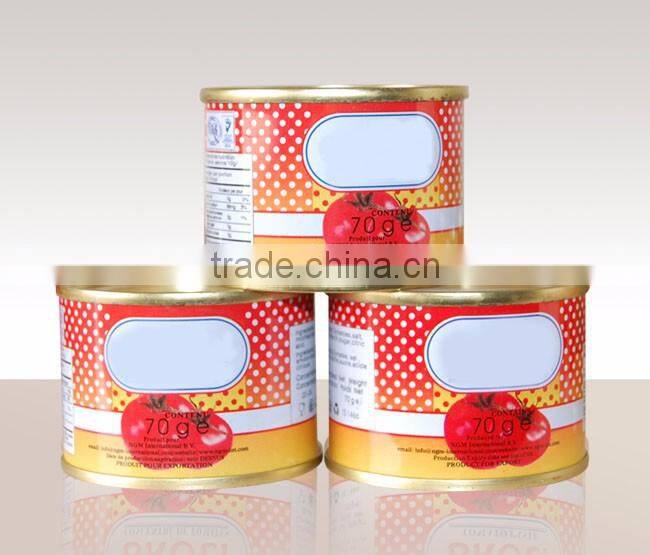 Made in china OEM ODM ketchup export Saudi Arabia Canned Beads In Tomato Sauce 425g 227g Beads In Tomato Paste
