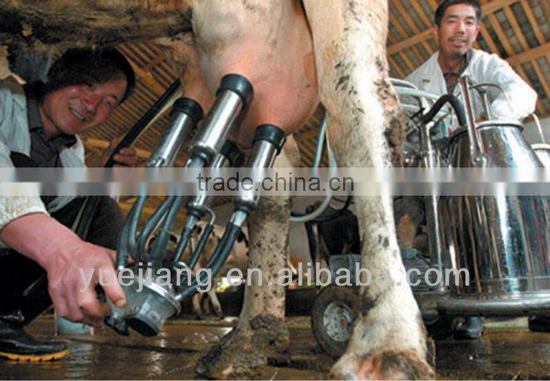 vacuum pump milking machine of single bucket