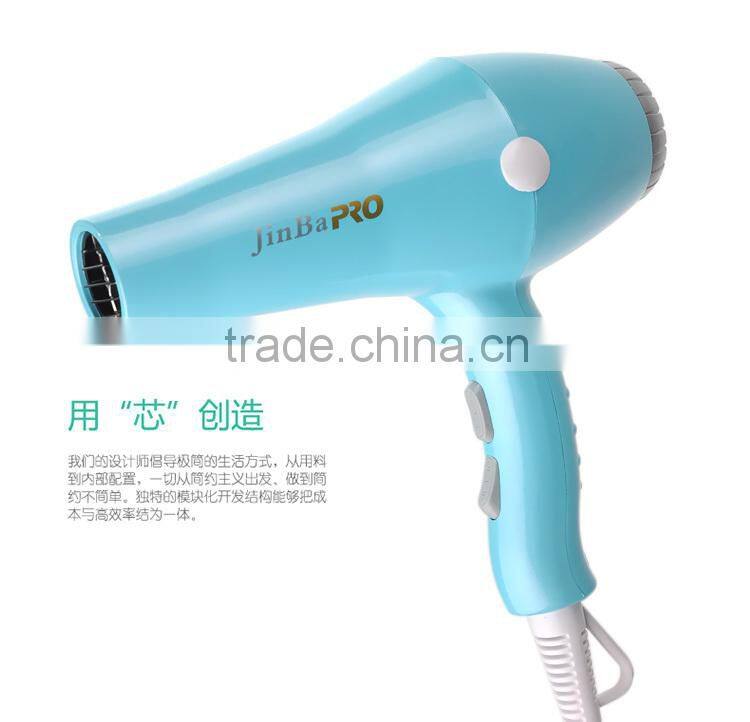 Professional DC motor AC motor Hair Dryer