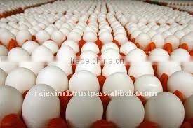White Eggs Manufacturer