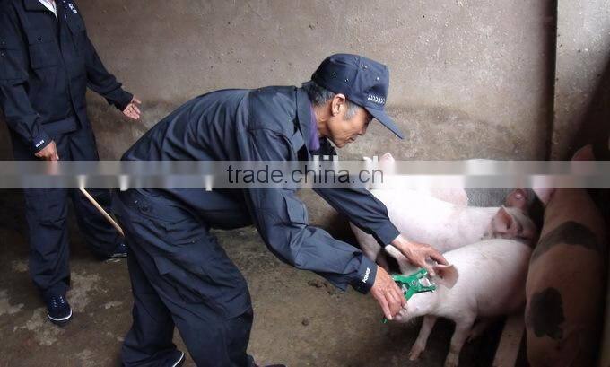 sheep ear tag 41*15 mm green TPU animal ear tag