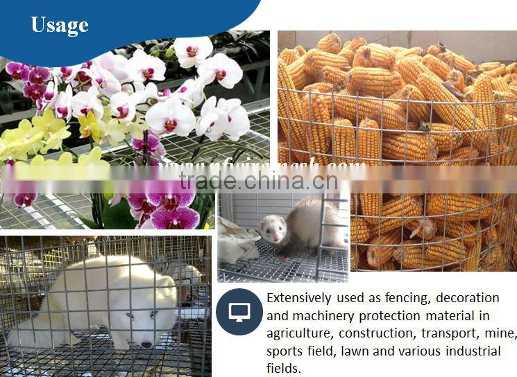 1.3mm Galvanized 3/8" /3/4" /1/2" /1" hole Welded Wire Mesh Net(Guangzhou factory)