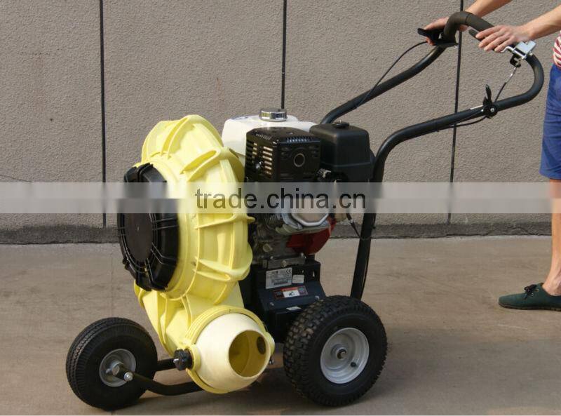 garden petrol leaf blower