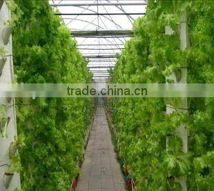 Hydroponic system/Hydroponic garden