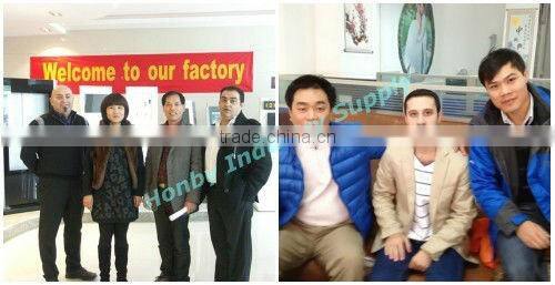 Lab Supplies Stainless Steel Entomology Insect Pins