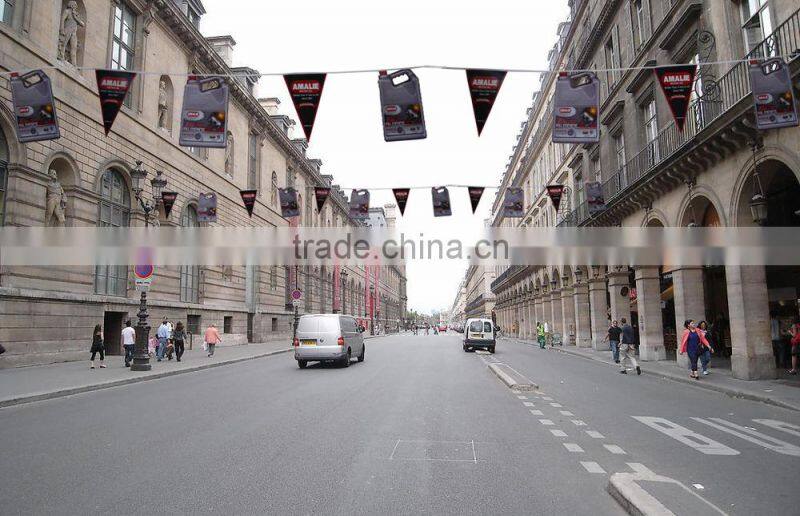 string flag,custom string flag,printed string flag