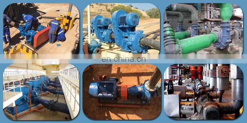 Shijiazhuang Standard Horizontal Slurry Pump