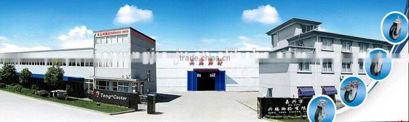 2.5-inch Light Duty wheelchair caster wheel