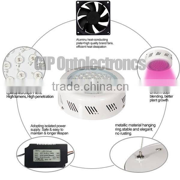 factory price of led grow light for global wholesales and agents