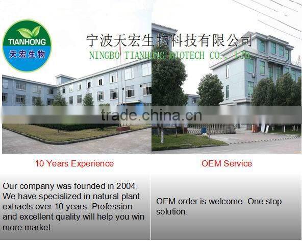 GMP strawberry flavour powder/strawberry juice concentrate powder