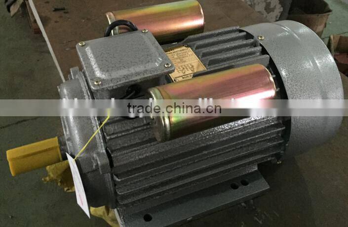 YL SERIES SINGLE-PHASE CAPACITOR START INDUCTION AC MOTORS