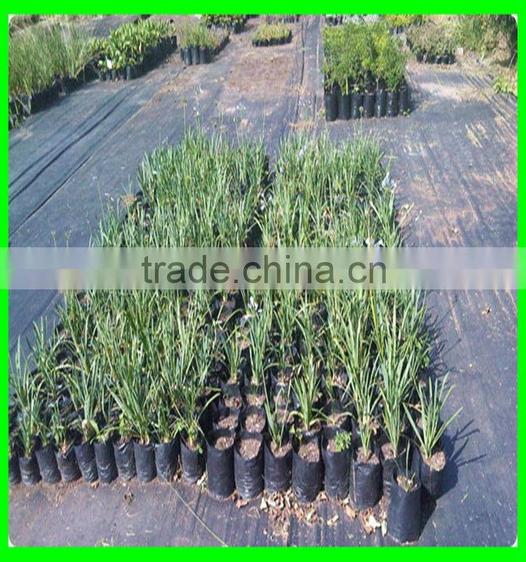 waterproof playground ground cover&ground cover cloth