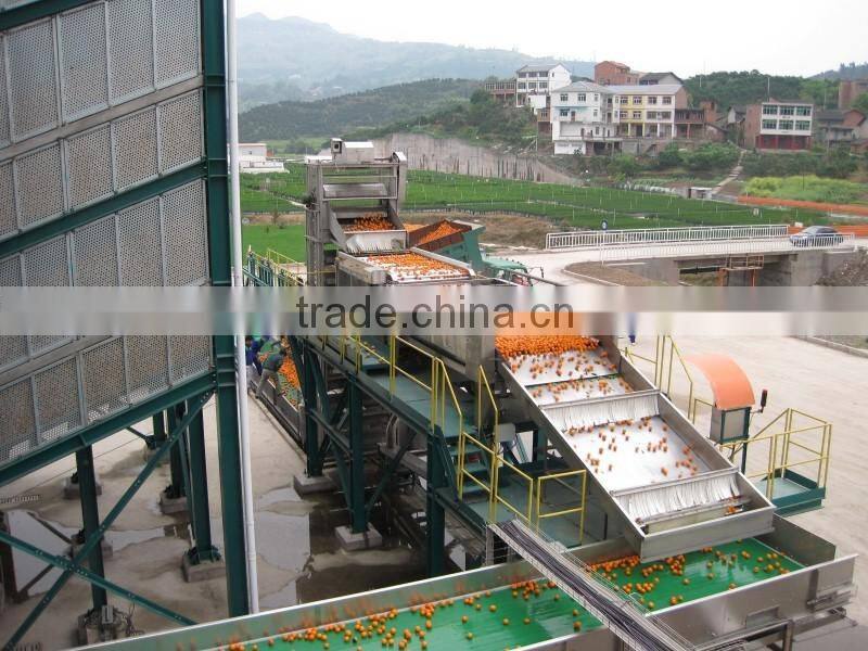 Orange juice production line