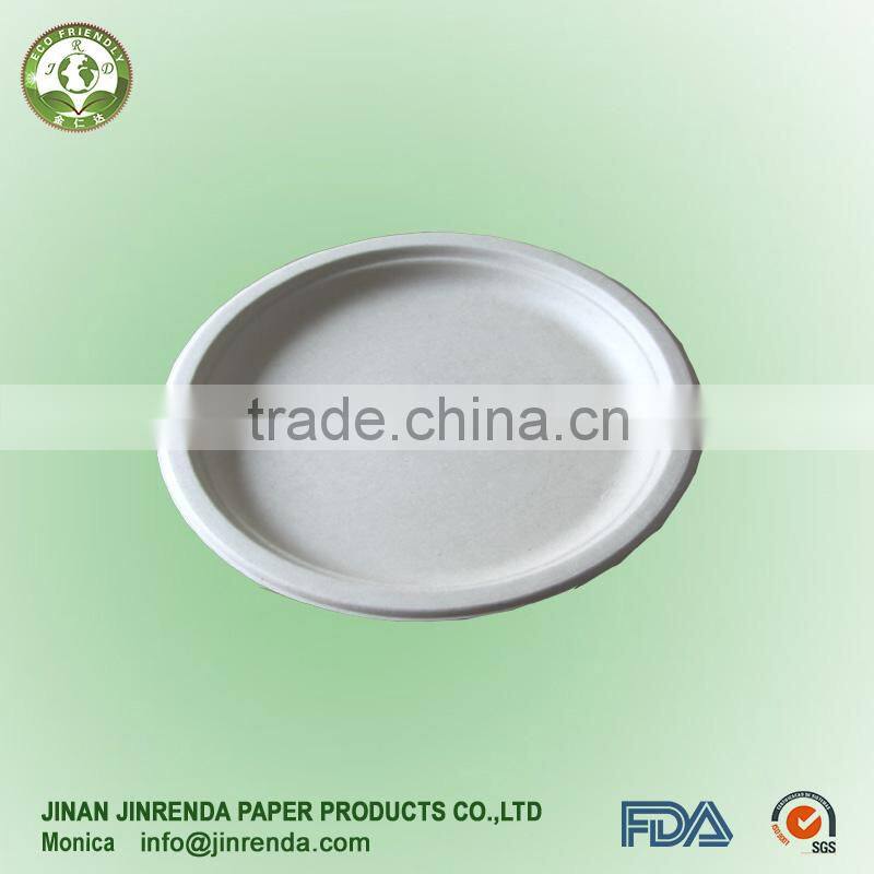 disposable10 inch Paper Plate