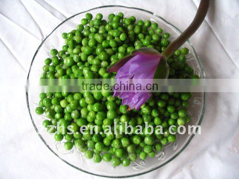 Hot Sell Canned Green Peas