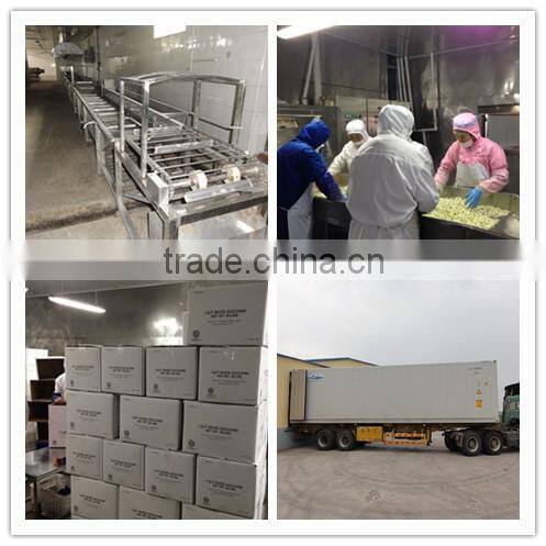 Chinese IQF Frozen orange segments sliced with good quality