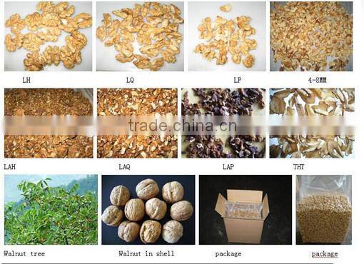 Supply with Chinese Walnut Kernels Light Amber Halves For Sales
