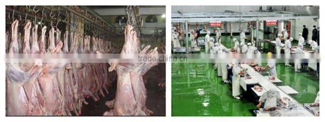 goat slaughter equipment for slaughterhouse project