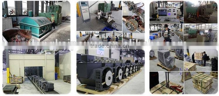 Longkai Three Phase Brushless Alternators 24KW