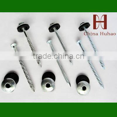 Weave shank diamond point Q195 galvanizing roof nails
