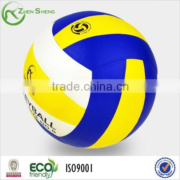 sporting goods volleyball