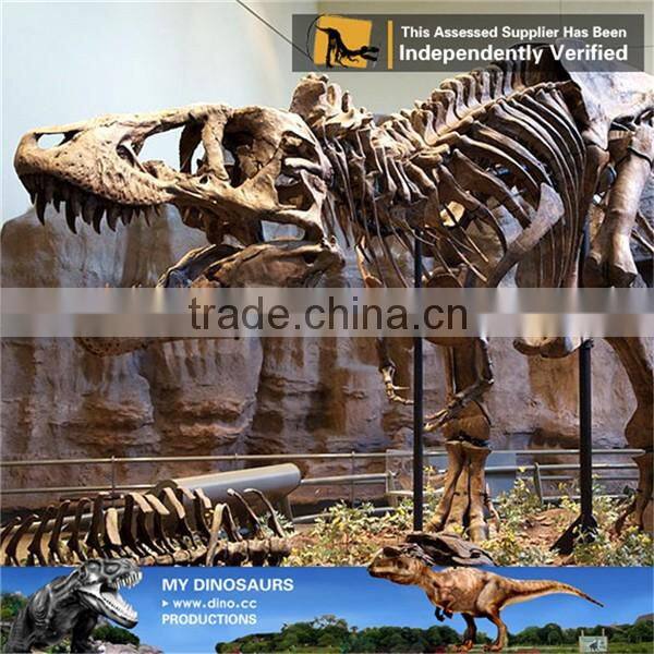 MY Dino-C033 Handmade dinosaur skeleton fossil for sale