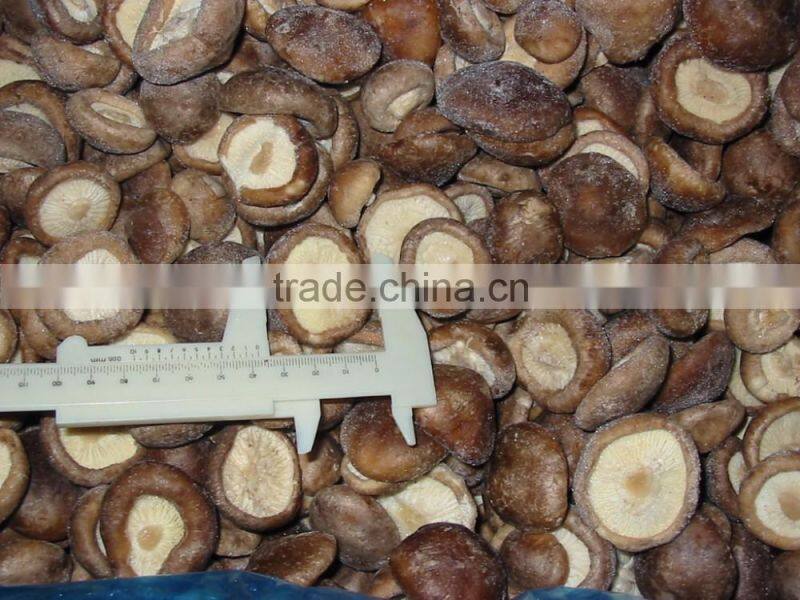 IQF Frozen Shiitake Mushroom Whole/Cuts/Slices